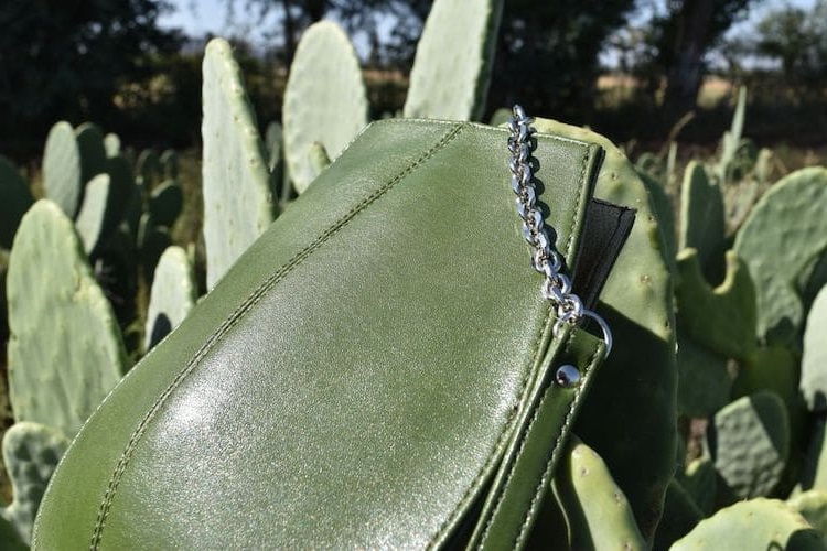 cuir de cactus